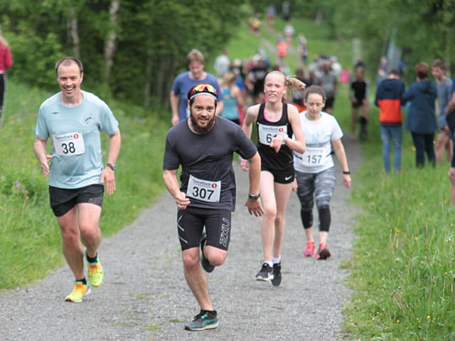 Mesnaelva opp